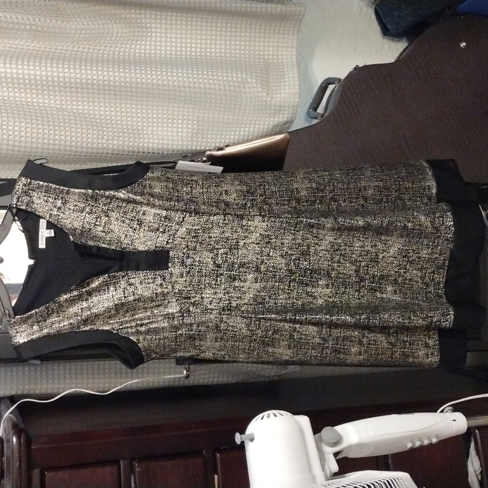 Metallic Robbie Bee dress